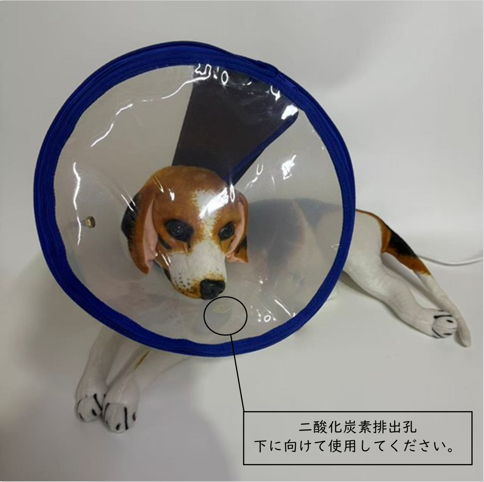 水素吸入器 マスク 中 ペット 犬 ねこ