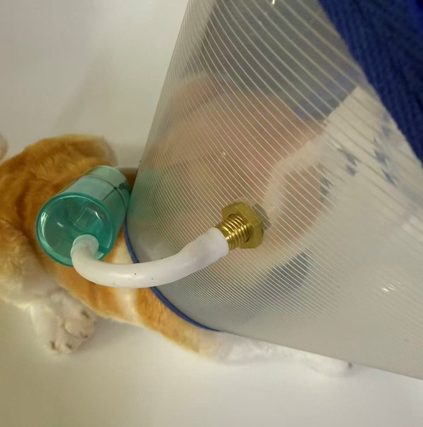 水素吸入器 ペット用 マスク 吸入管
