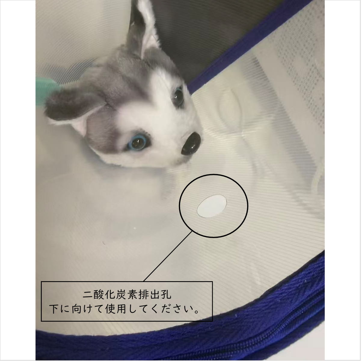 水素吸入器 マスク 中 ペット 犬 猫