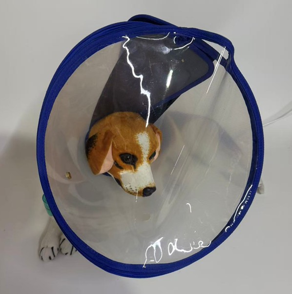 水素吸入器 マスク 中 ペット 犬 ねこ